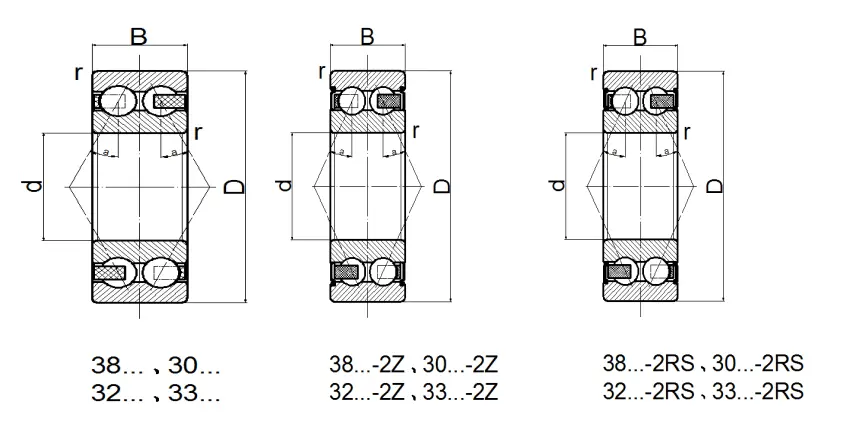 305 Double Row Angular Contact Ball Bearing (2)